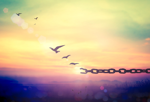 Silhouette of bird flying and broken chains at beautiful mountain and sky