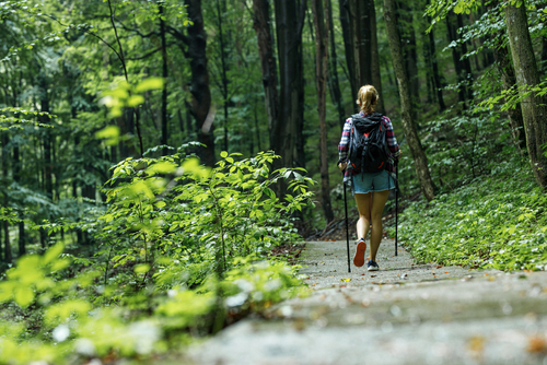 Female hiker walking trough forest and joying in nature