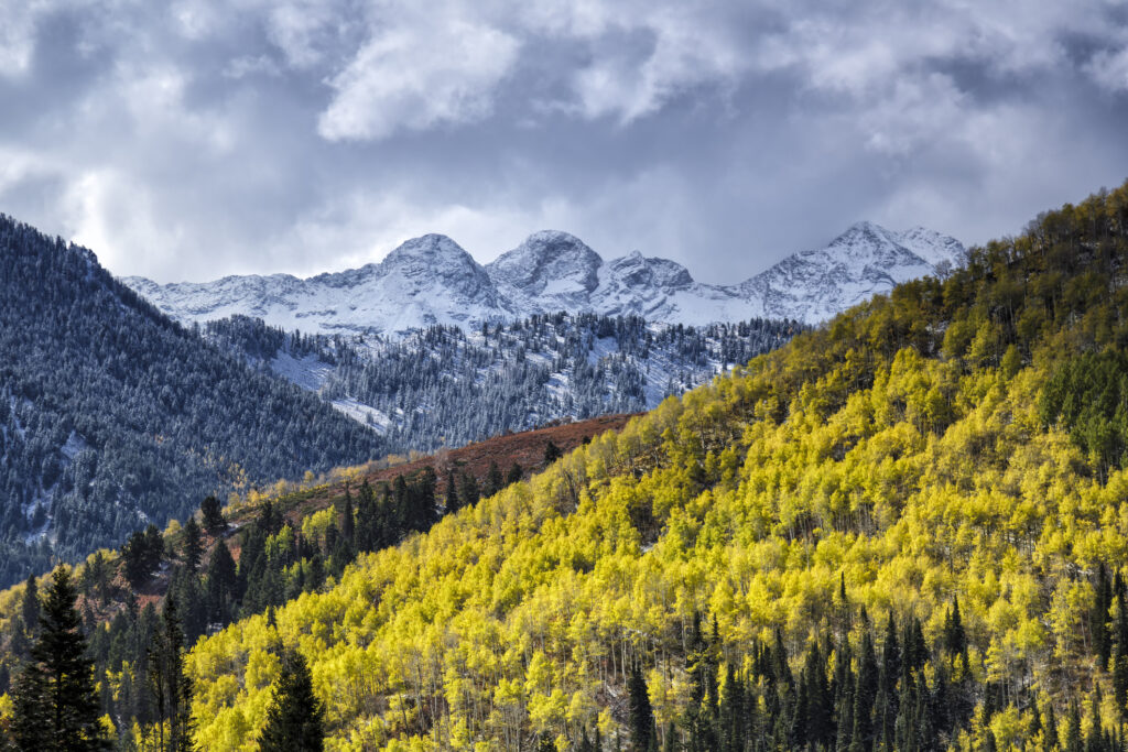 Majestic Wasatch Mountain Range adorned in vibrant autumn colors during fall season